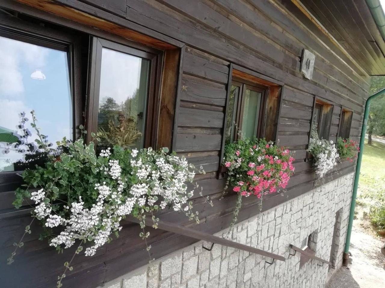 Penzion Pohlednicka Hotel Benecko Exterior foto